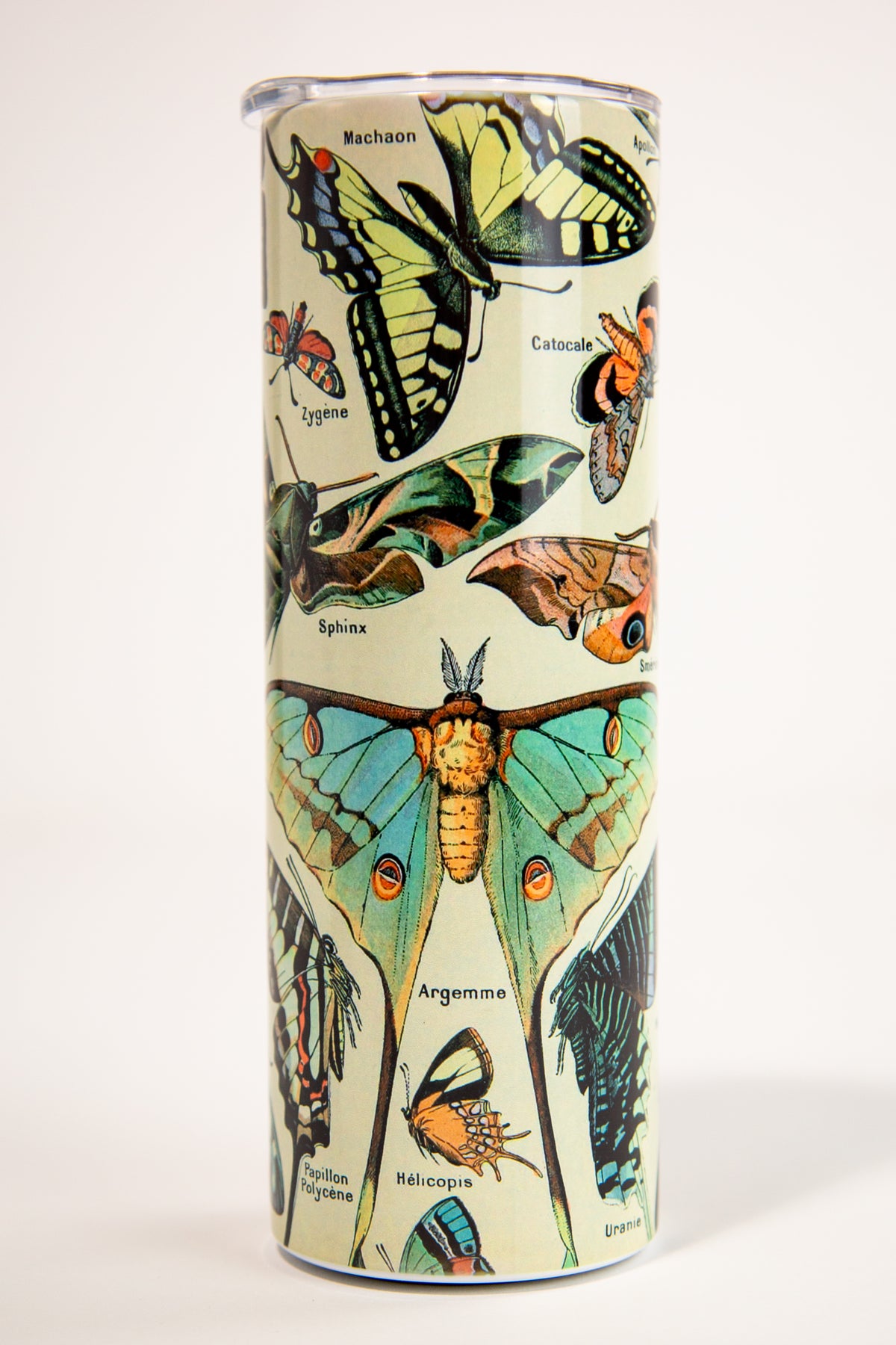 Vintage Moths Insulated Tumbler